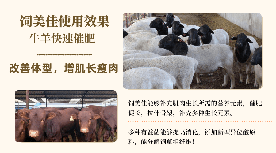 羊用催肥剂增肌长肉快速催肥牛羊催肥药