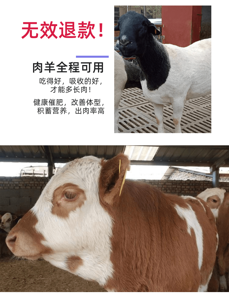 羊催肥饲料添加剂牛犊僵羊促生长长骨促长剂