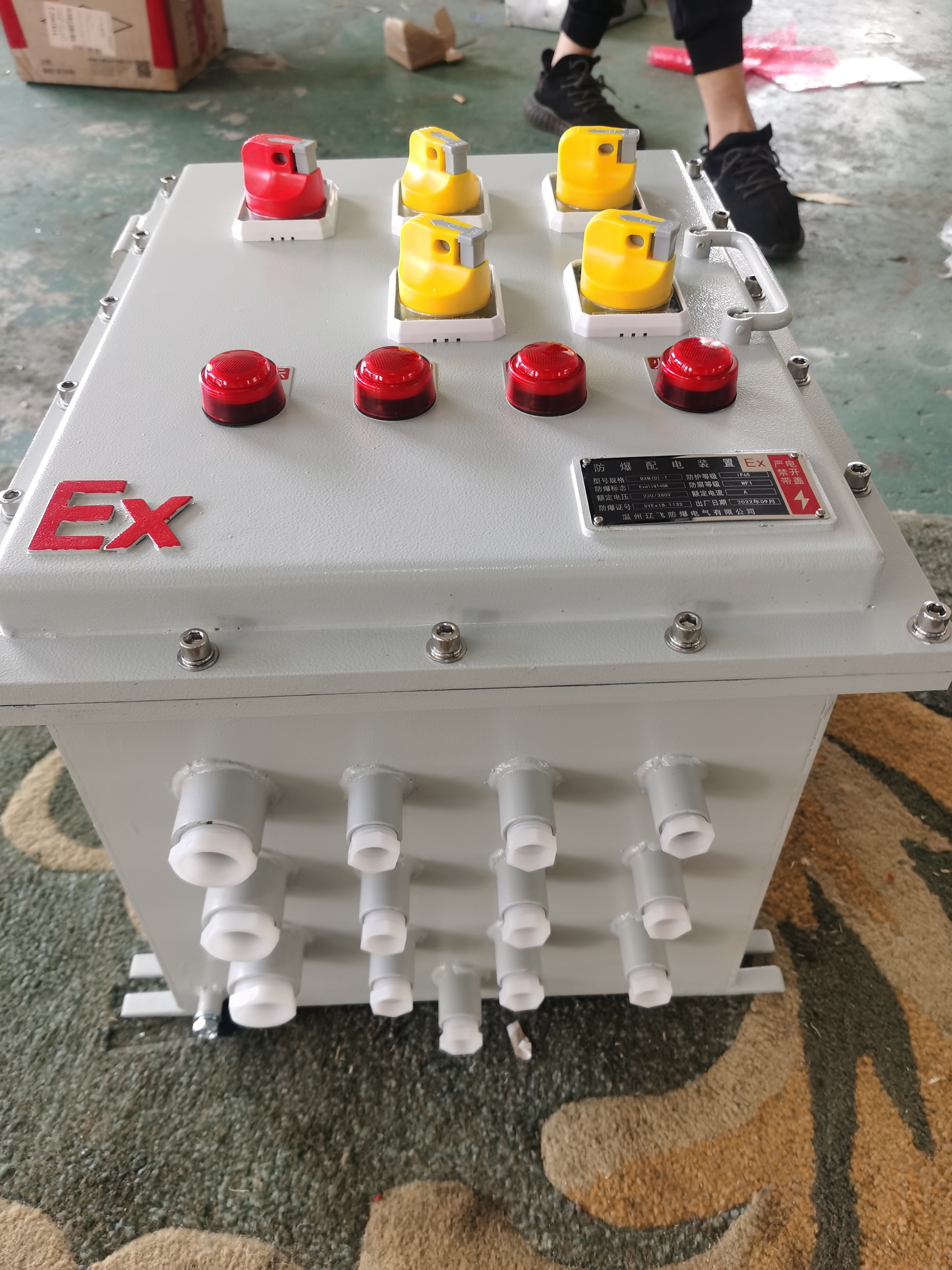 BXK304不锈钢防爆电控箱
