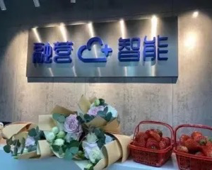 融营智能科技(上海)有限公司