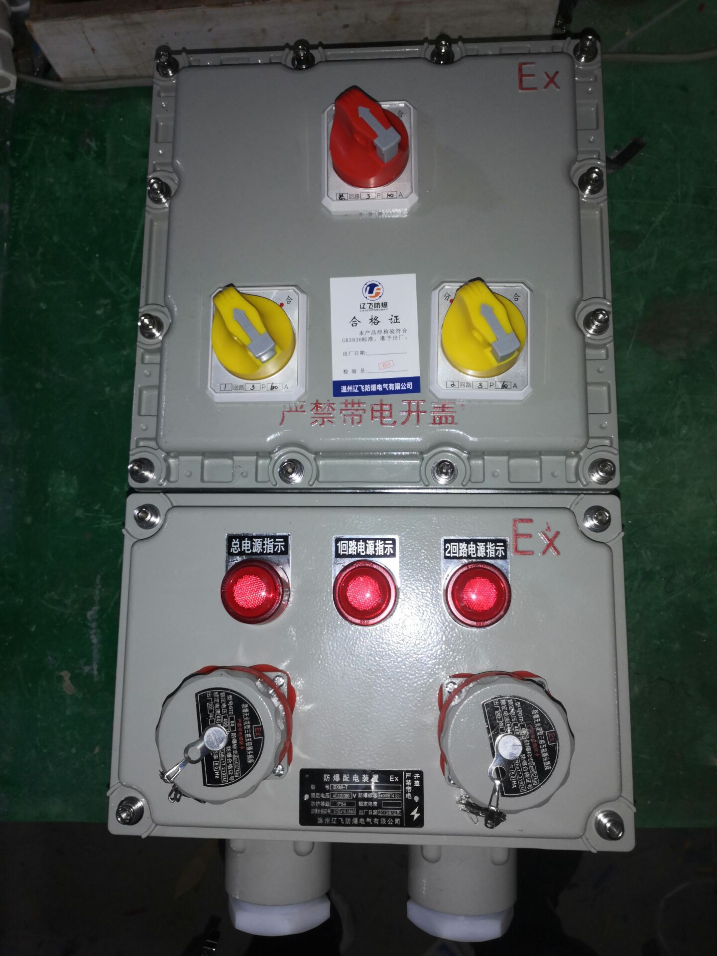 BQX52变频器防爆控制柜/可控硅防爆配电箱辽飞防爆