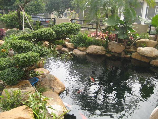 温州永嘉假山,花园假山鱼池施工设计