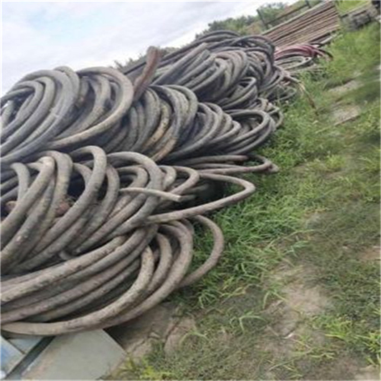 枣庄低压铝芯电缆回收2500电缆回收商业行情