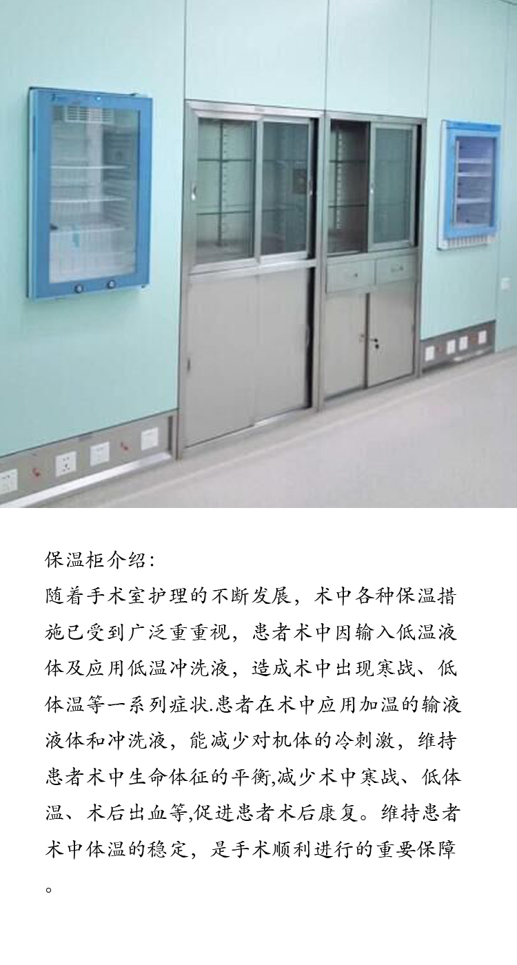 手术室用恒温箱 FYL-YS-138L