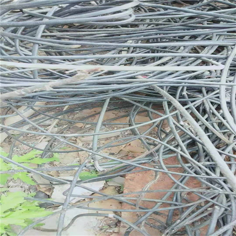 呼玛废铜铝线回收呼玛低压电缆回收