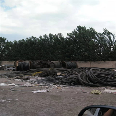 莞城区工程电缆回收回收站