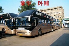 图片0