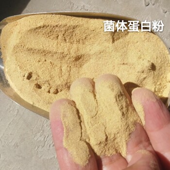 发酵生物小肽蛋白粉