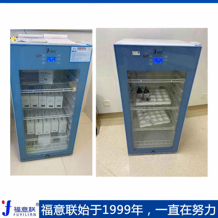 医用恒温箱FYL-YS-281L(0-100℃)容积280L