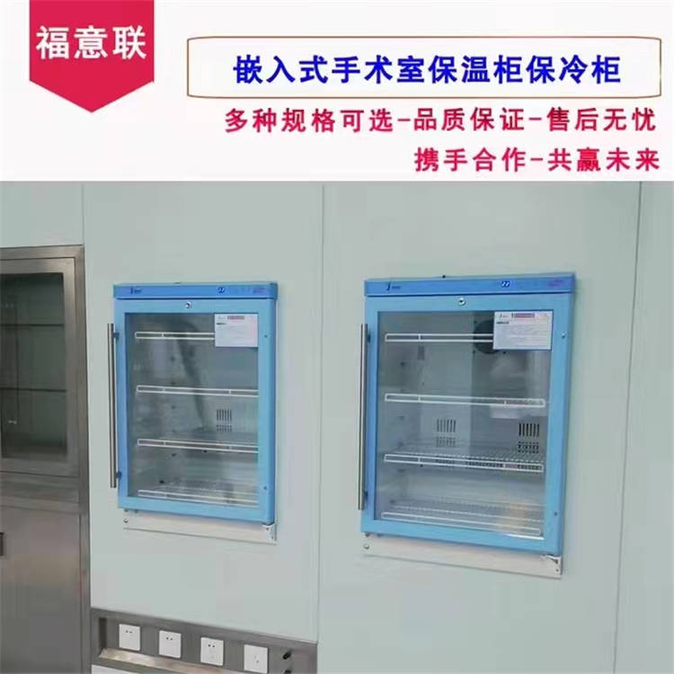 内嵌式保温柜FYL-YS-150L(2-48℃)容积150L恒温箱