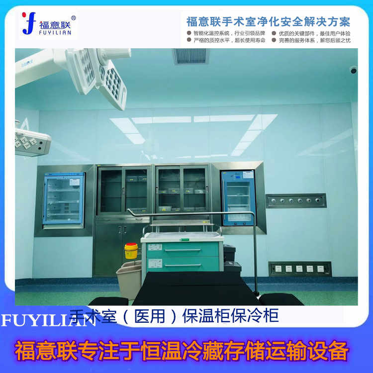 醫(yī)用保溫柜FYL-YS-150L嵌入式恒溫箱2-48℃容積150L
