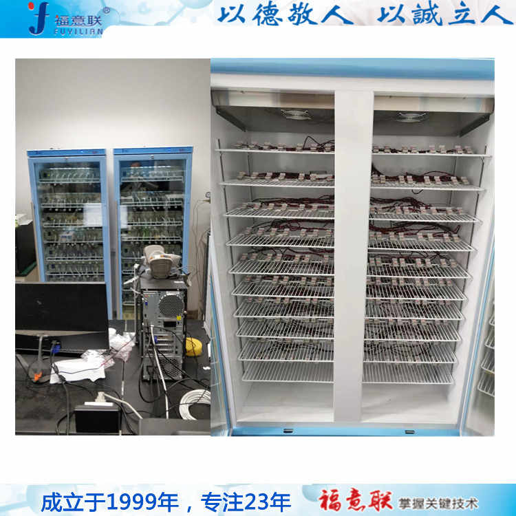 室温-100度的电池测试箱FYL-YS-151L