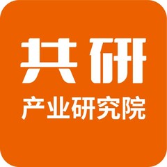 北京迪索共研咨询有限公司