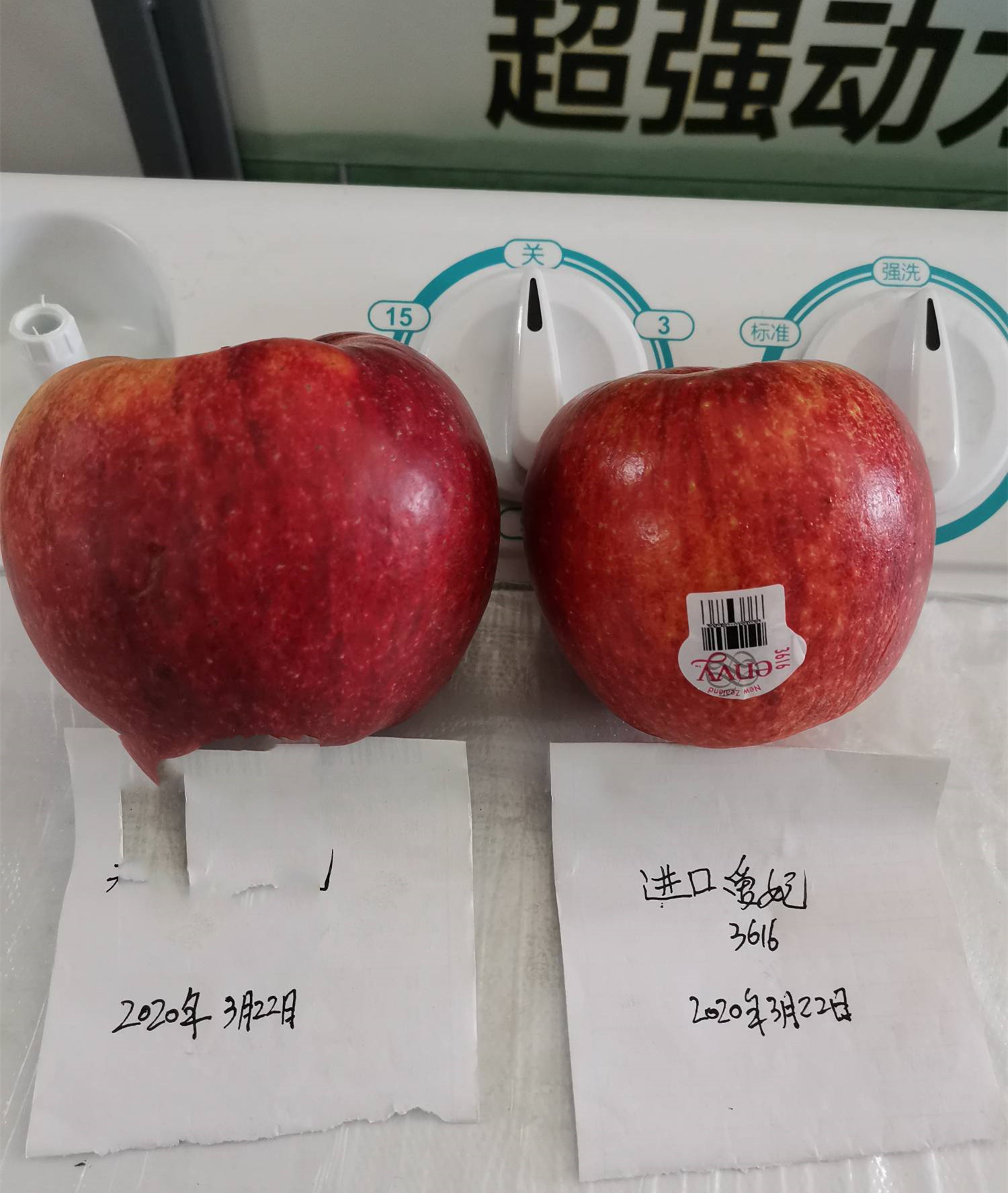 明月苹果树苗品种说明,脱毒m9t337砧木红思尼克苹果树苗