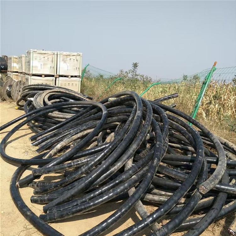 上海上海邮江电缆线回收本地回收