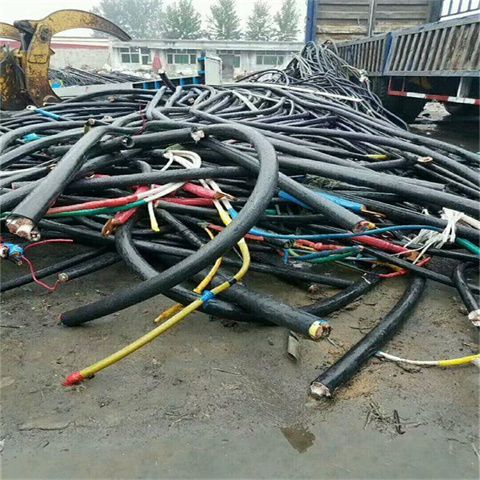 温州二手电缆回收（温州）普睿司曼通信电缆回收