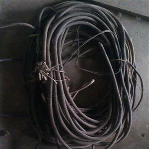 回收电线电缆 常州鸽牌电线电缆回收