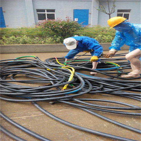随州鸽牌低压电缆线回收（随州）回收库存电线电缆