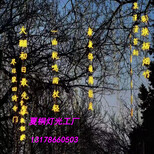 图片0