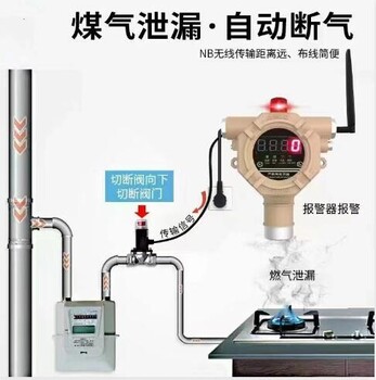 固定式燃气泄漏报警器无线传输手机联动报警